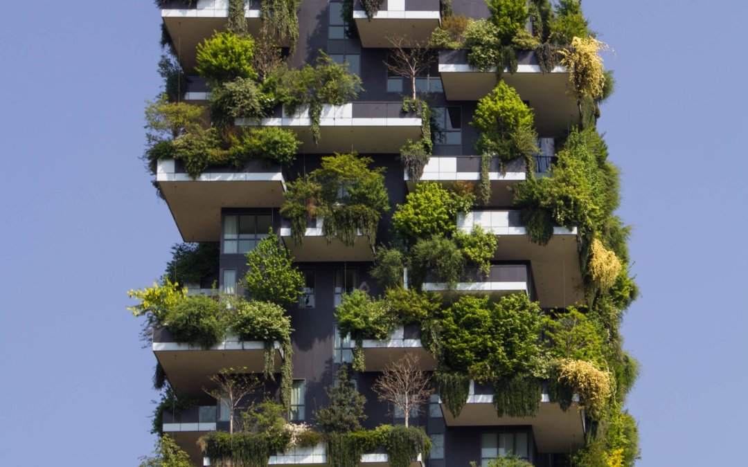 The Importance of Sustainability in Real Estate